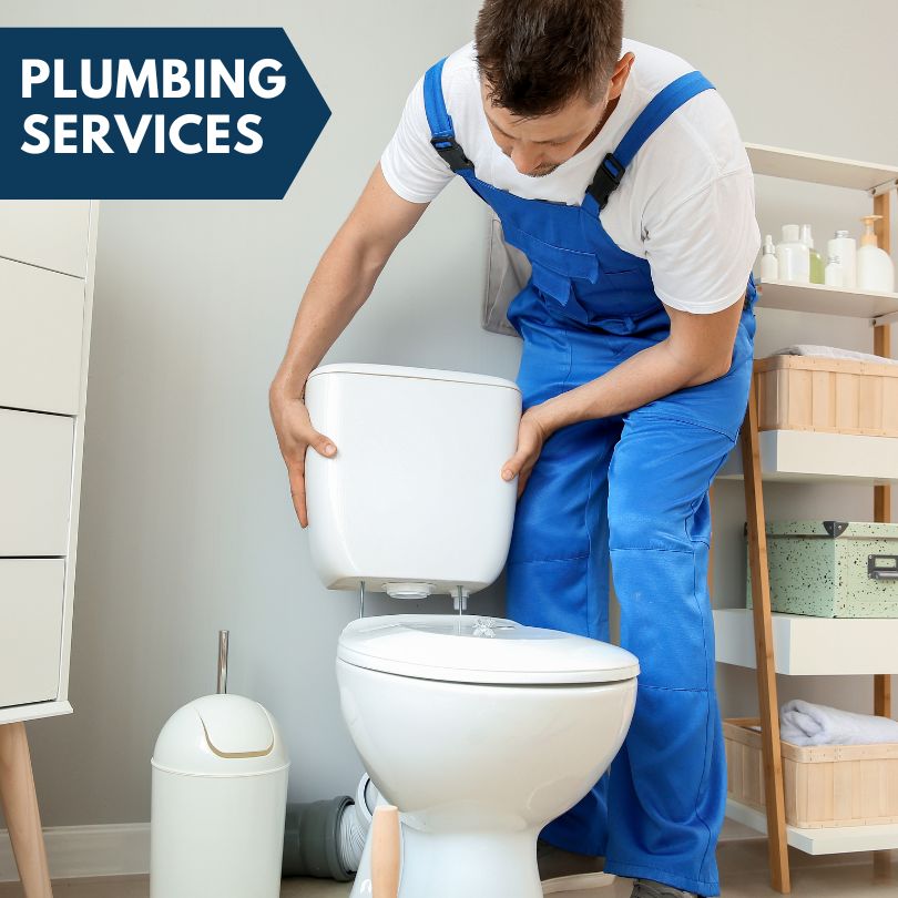 Plumbing Company in Luther, MI